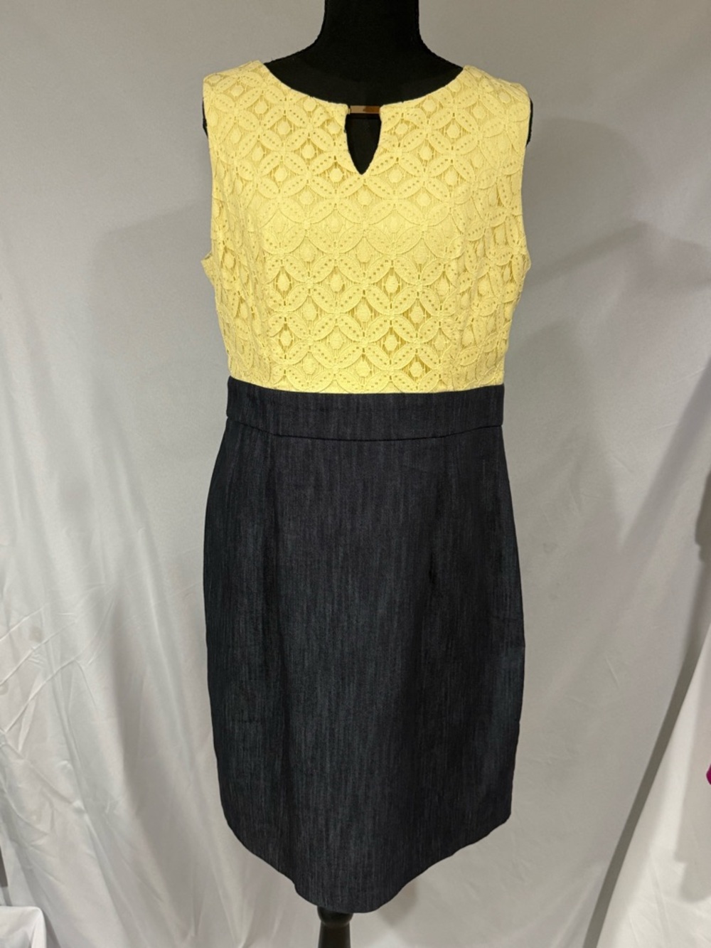 Alyx Yellow Lace Bodice with Dark Denim Blue Pencil Skirt